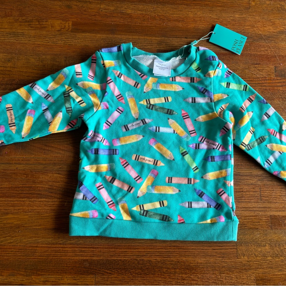 Posh Peanut 5T Girls' Teal Crayon Print Sweatshirt
